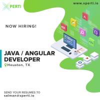 Xperti - Find Java Developer Jobs in USA image 3